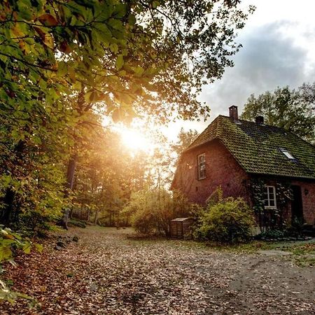 Forsthaus - Gut Thansen Soderstorf Zewnętrze zdjęcie