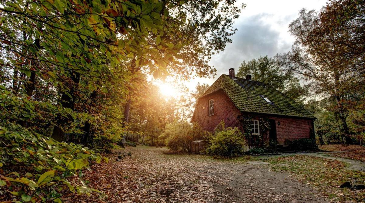 Forsthaus - Gut Thansen Soderstorf Zewnętrze zdjęcie